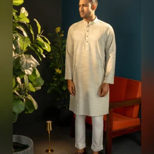 Embroidery Printed Panjabi